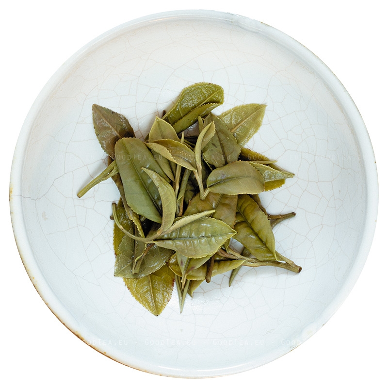 ველური თეთრი ჩაი